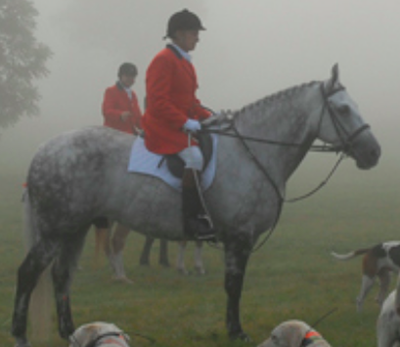 Hunt breastplate and martingale
